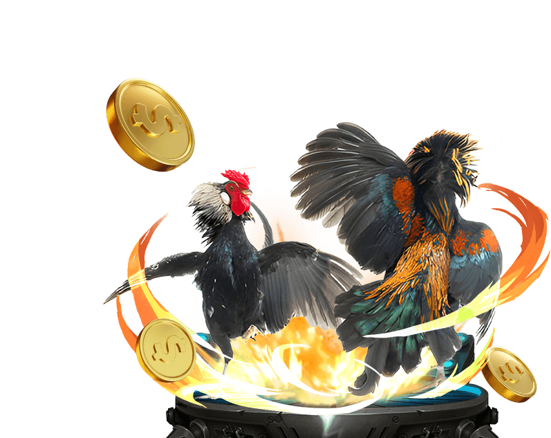 Cá cược Đá Gà trực tuyến Shbet